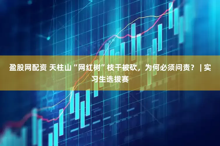 盈股网配资 天柱山“网红树”枝干被砍，为何必须问责？ | 实习生选拔赛